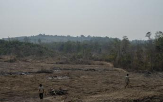 Global Witness kêu gọi giới đầu tư rút vốn khỏi Hoàng Anh Gia Lai