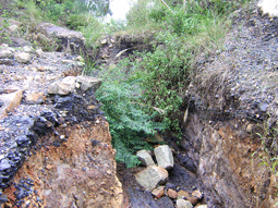 Nước mắt “vàng đen”