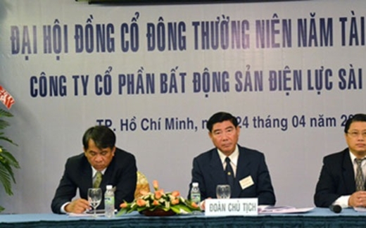 EVN đang cấp tập thoái vốn khỏi ngân hàng, bất động sản