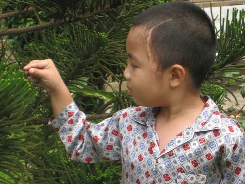 Cô giáo mầm non và bản án 4 năm tù