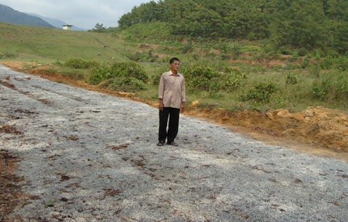 Cuộc tàn phá thảm khốc lăng mộ Trần Minh Tông