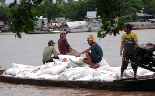 DN tiếp tay, đường lậu bóp chết đường nội