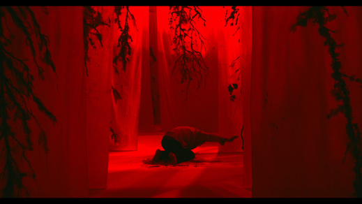 Phim Việt nào sẽ có mặt tại LHP Pięć Smaków lần thứ 16 ở Ba Lan?