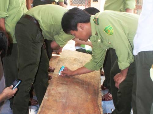 Tổng truy quét sưa tặc