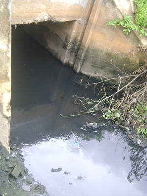 Biểu tượng di sản trong dòng kênh hôi