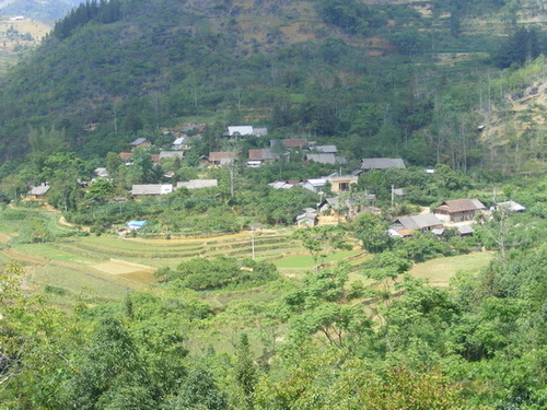 Mùa hái ngô nấu rượu trên vùng cao Bản Phố