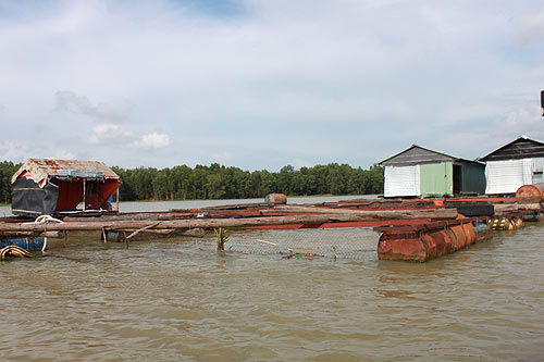Hồ Dầu Tiếng đe dọa TPHCM