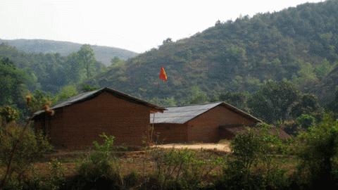 Bài 2: Chưa có giấy phép, cty nước ngoài đã hối hả trồng rừng