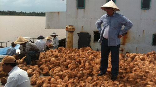 Xuất khẩu nông sản sang TQ: Chính quyền không thể đứng ngoài cuộc