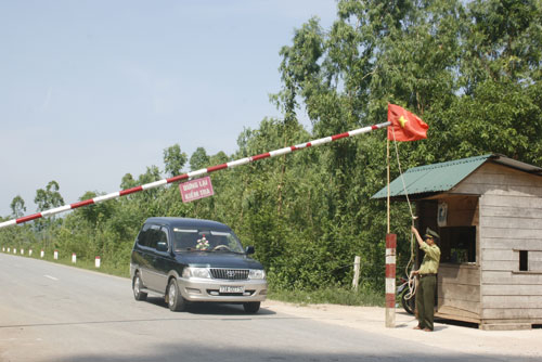 Vụ gỗ huê tại Quảng Bình: Mở đợt truy quét quy mô lớn