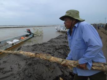Các đập thủy điện trên sông Mêkông sẽ gây nhiều tác hại cho ngư nghiệp và sinh thái