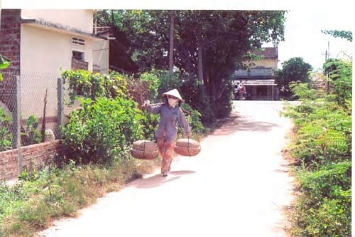 Muối Sa Huỳnh bán cả bao chưa mua được cân gạo