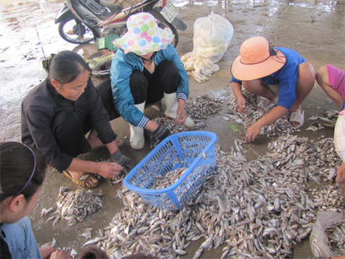 Ngư dân 'mắc cạn' trên bờ vì xăng dầu tăng giá