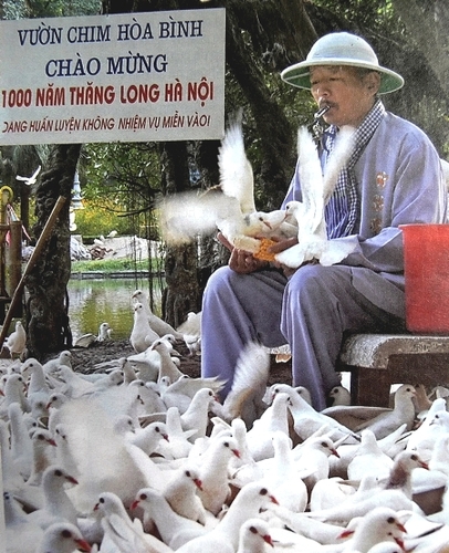 Diễn đàn văn hóa: Chẳng qua bị bệnh