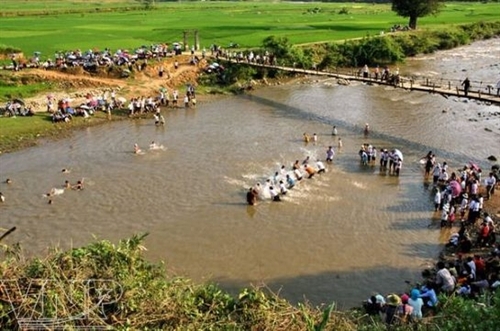 Té nước cầu mưa