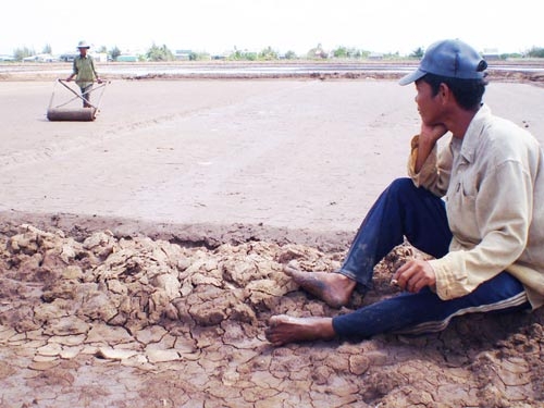 Lại một mùa muối... đắng!