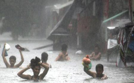 Cao su và thủy điện tận lực phá rừng!