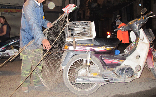 Khi chuột cống đã thành “đặc sản”