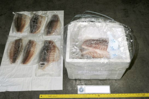 Hai người Việt tuồn 68 triệu USD ma túy vào Australia