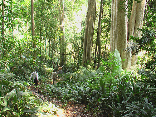 Nhiều vấn đề chưa được làm rõ