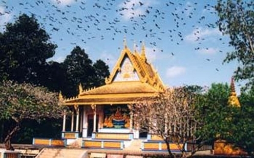 Kỳ lạ chuyện heo 'thành tinh báo oán' ở chùa Dơi