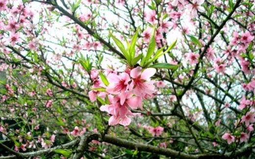 Đâu là thách thức lớn nhất trên đường Việt Nam phát triển?