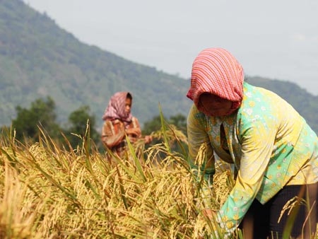Bên trắng tay, bên lãi đậm
