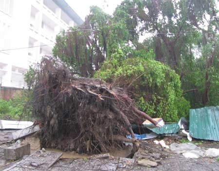 Miền Trung tan hoang trước bão dữ.