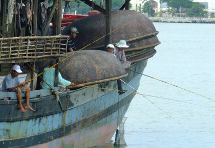 Câu mực đêm ở Quảng Nam - nghề nguy hiểm (kỳ cuối)