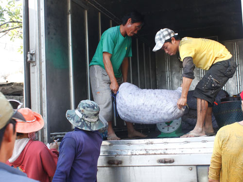 Sĩ tử với trường... đời