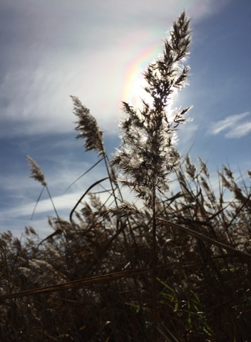 Người đi tìm thiên đường