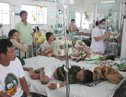 TP.HCM: Bệnh tay chân miệng và sốt xuất huyết tăng cao