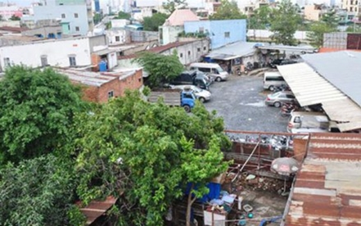 Luật mênh mang như lá diêu bông