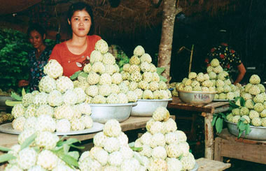 Ải Chi Lăng - vùng đất rực rỡ chiến công