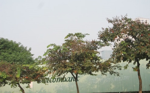 Hà Nội nhẹ tay với các dự án bất động sản sai phạm