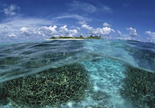 "Tổ quốc nhìn từ biển"