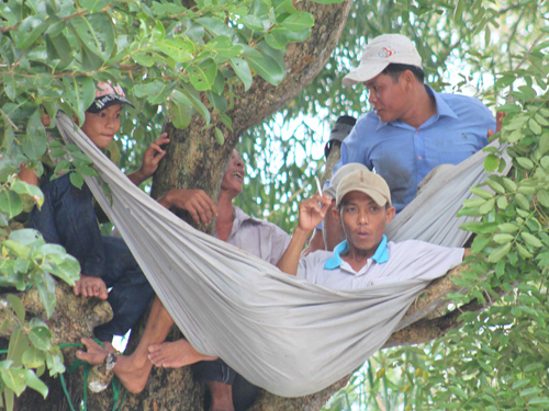 Hào hứng với đua bò ở Bảy Núi