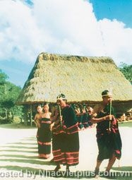 Người Triêng với cây đinh tút