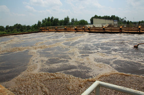 Trách nhiệm lòng vòng