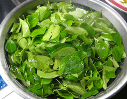 Dé bò - Đặc sản của đất Tây Sơn (Bình Đình)