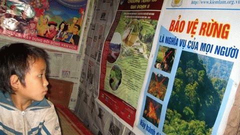 Quảng Ninh cho thuê đất rừng không nhằm tăng thu ngân sách?