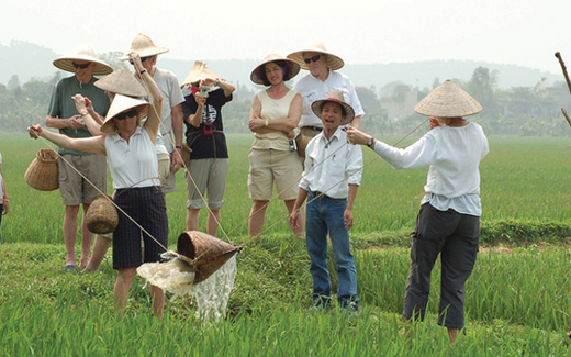Du lịch khó cất cánh