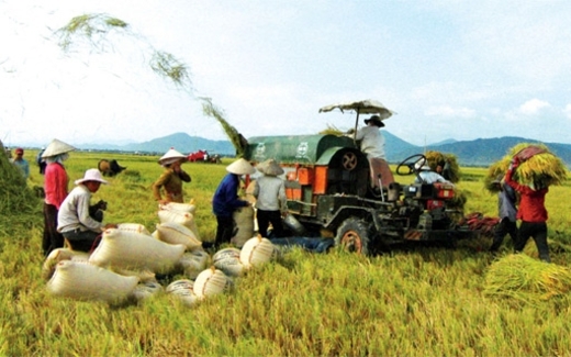 Nông dân loay hoay chống đỡ những ‘cú sốc’