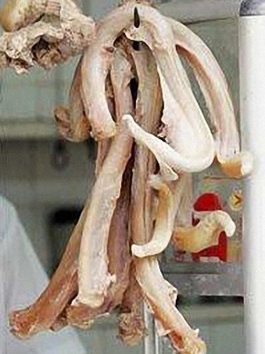 Chuyện nam phụ lão ấu "săn" pín “chữa... bách bệnh”