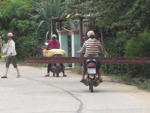“Thôn gỗ lậu”