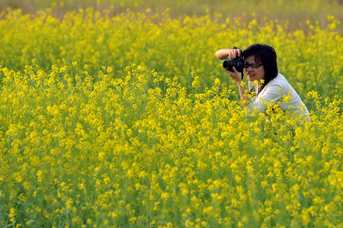 Thiếu nữ duyên dáng mùa hoa cải