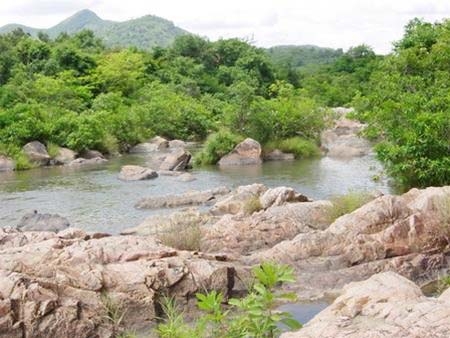 Bản tình ca suối và đá