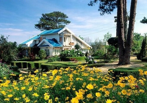 Toàn cảnh văn hóa trong nước: Ngóng chờ