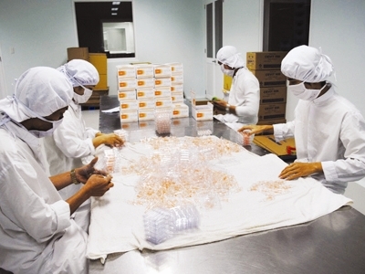 Sững sờ giá thuốc