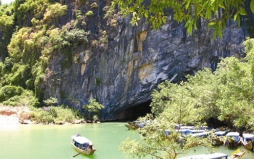 Chủ tịch tỉnh Quảng Bình: “Mang được sổ đỏ về cũng bị kỷ luật”